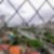10ª imagem do imóvel