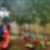 16ª imagem do imóvel