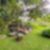 109ª imagem do imóvel