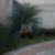 11ª imagem do imóvel