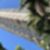 26ª imagem do imóvel