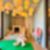 29ª imagem do imóvel