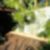 36ª imagem do imóvel