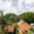 42ª imagem do imóvel