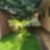 29ª imagem do imóvel