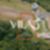 16ª imagem do imóvel