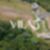 17ª imagem do imóvel