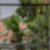 41ª imagem do imóvel
