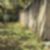 6ª imagem do imóvel