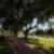 Vila Leopoldina