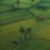 Terrenos